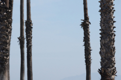 Tag 14 - Gnarf! Tsunami!