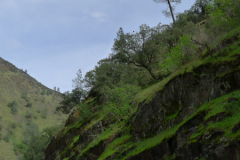 Tag 18 - Wir bremsen für Squirrel und Kojoten